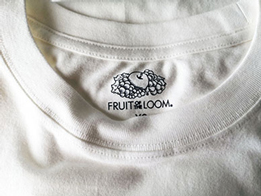 FRUIT OF THE LOOM class=