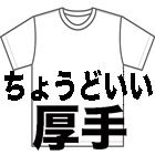 5.6オンスベストセラーTシャツ5001ダブルステッチネック　ユナイテッドアスレ一般厚手無地Ｔシャツ