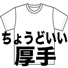 一般厚手無地Ｔシャツ